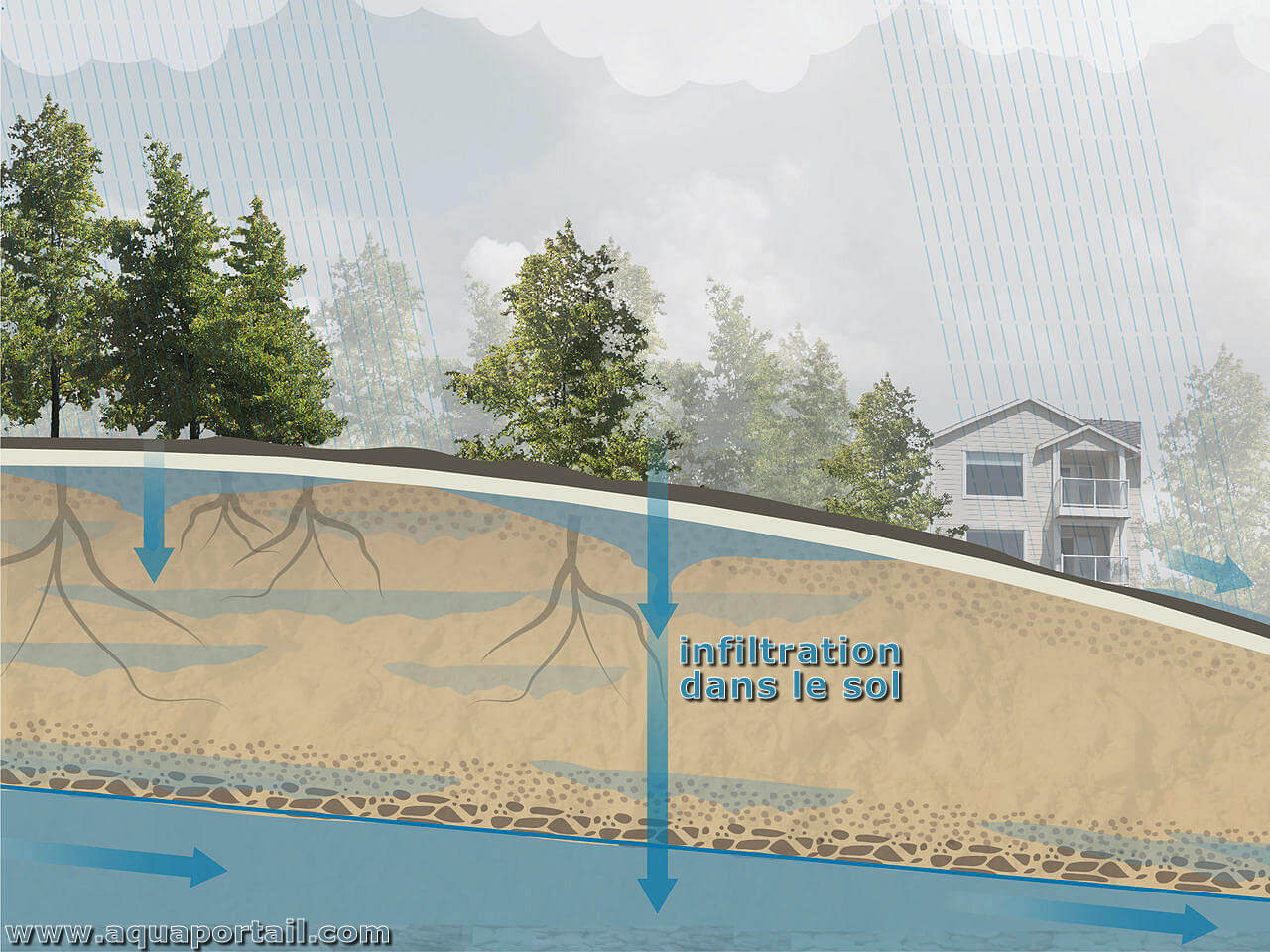 Infiltration D finition Illustr e Avec Explications