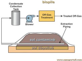 biopile