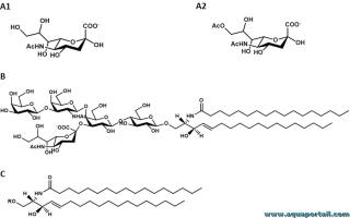 ganglioside