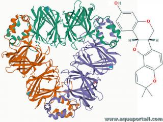Phasoline : structure molculaire