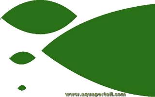 Taille des feuilles