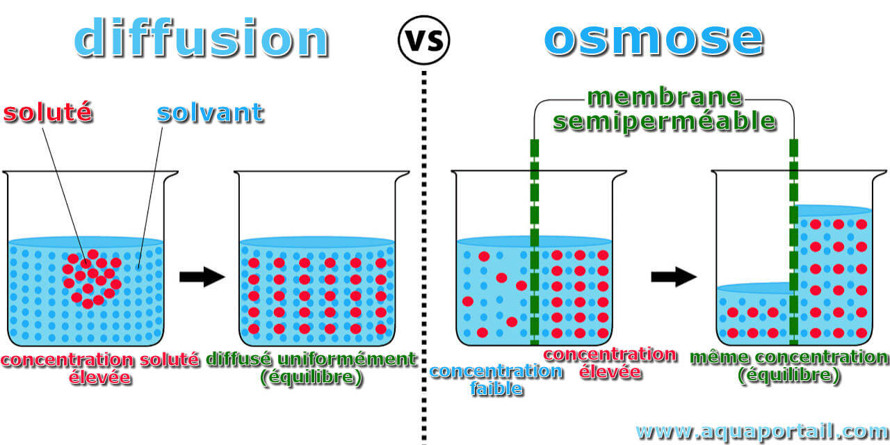 le principe de l'osmose inverse