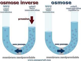 osmose inverse