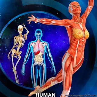 biologie humaine