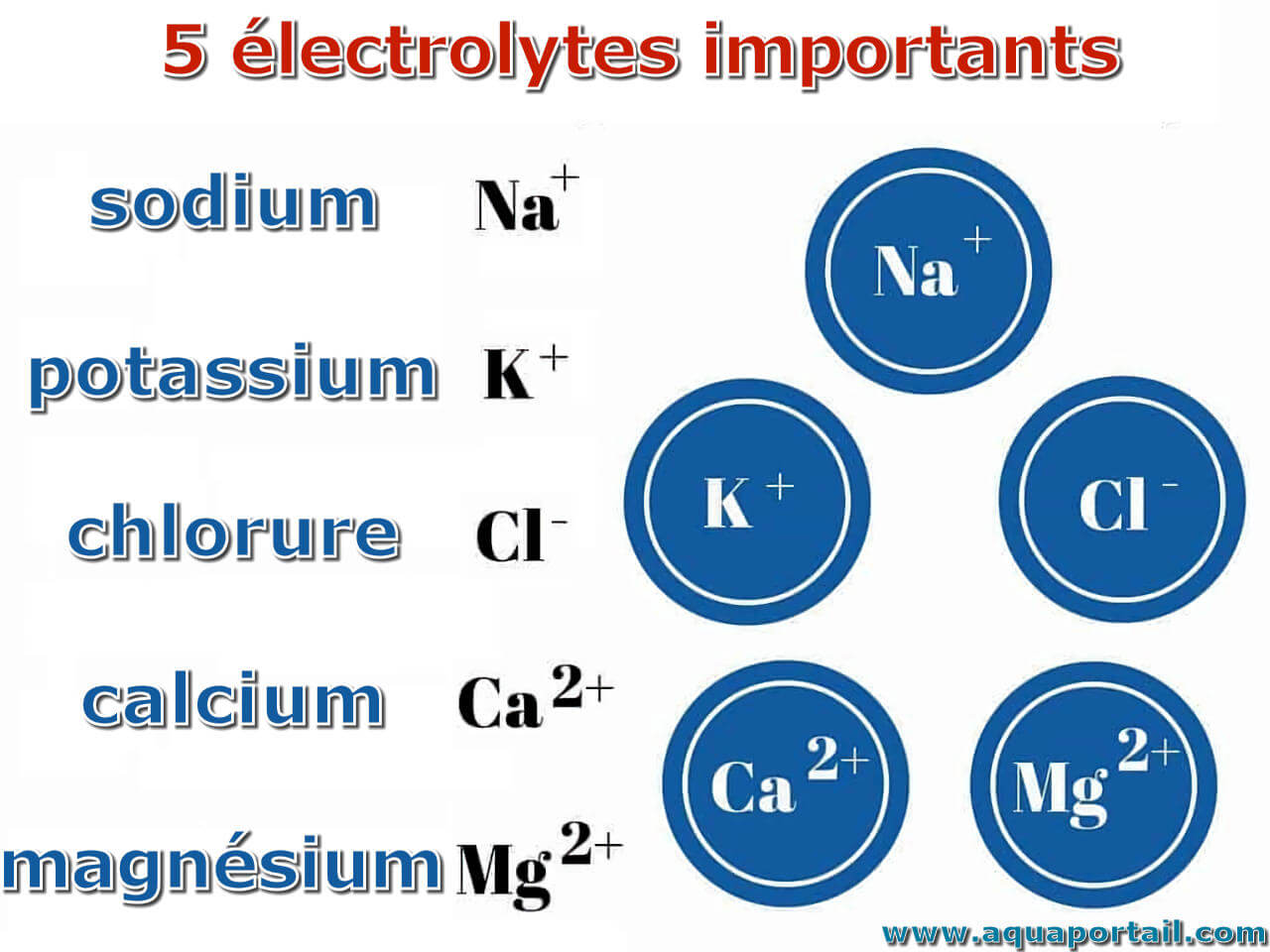 Electrolytes Definition