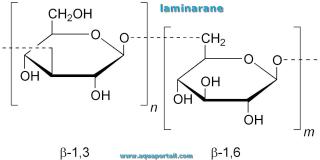 laminarane