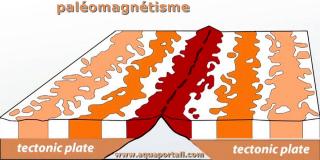 Palomagntisme