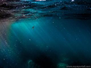 La thalassophobie est la peur des profondeurs