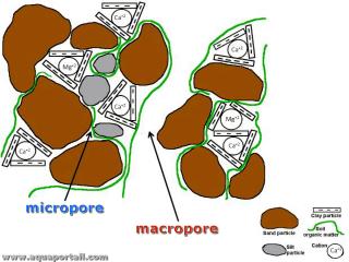 Micropores et macropores dans la structure d'un sol