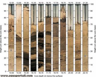 Bassin de sédimentation : définition et explications