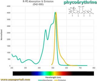 Spectres d'mission et d'absorption de la phycorythrine (et structure)