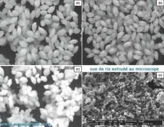 3 types de riz extruds