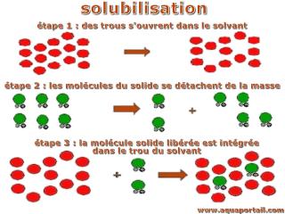 solubilisation