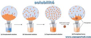 solubilit