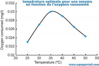 Courbe de temprature optimale pour une enzyme par rapport  l'oxygne consomm