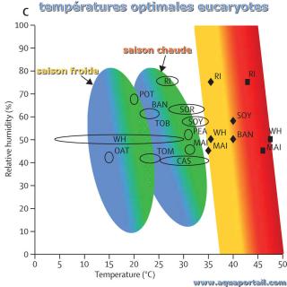 Temprature optimales d'organismes eucaryote en fonction de l'humidit