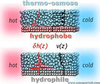 Thermo-osmoses hydrophobe et hydrophile