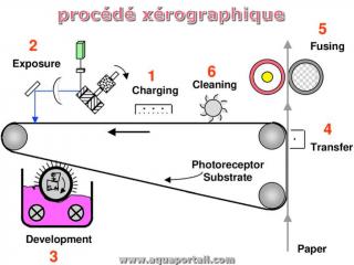 xrographie