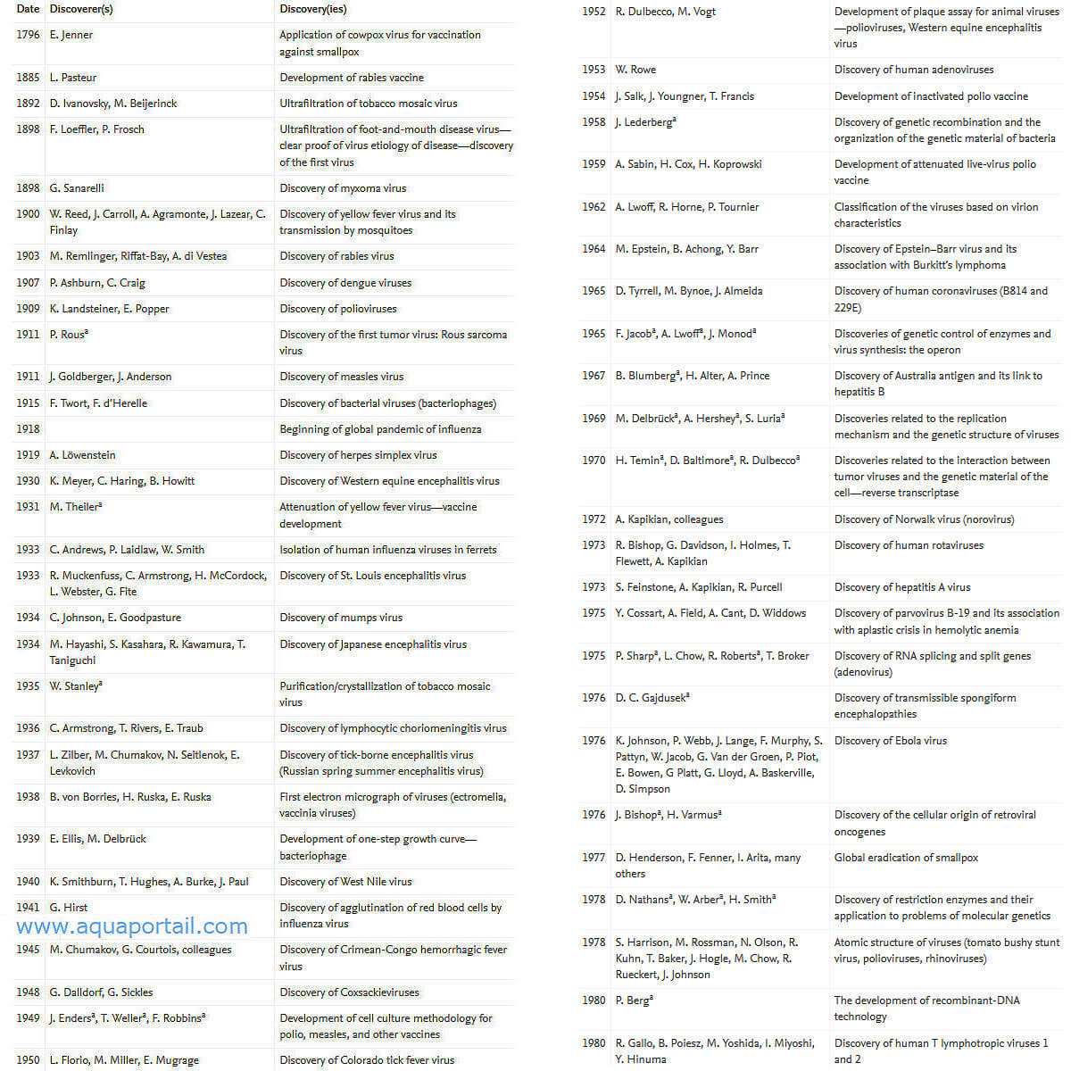 Virologie : définition et explications