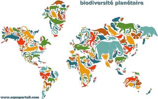 Biodiversit plantaire