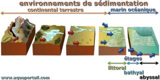 Environnements de sdimentation avec les diffrents milieux sdimentaires