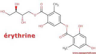 Structure 2D de l'rythrine