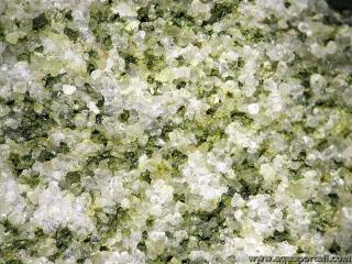 Grains de glauconite