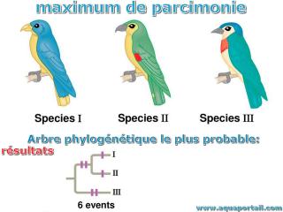 parcimonie