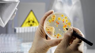 Travail du microbiologiste