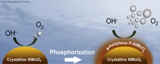 Phosphorisation pour la raction de dgagement d'oxygne