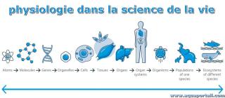 La physiologie est la science de la vie