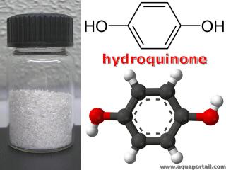 Structure chimique de l'hydroquinone