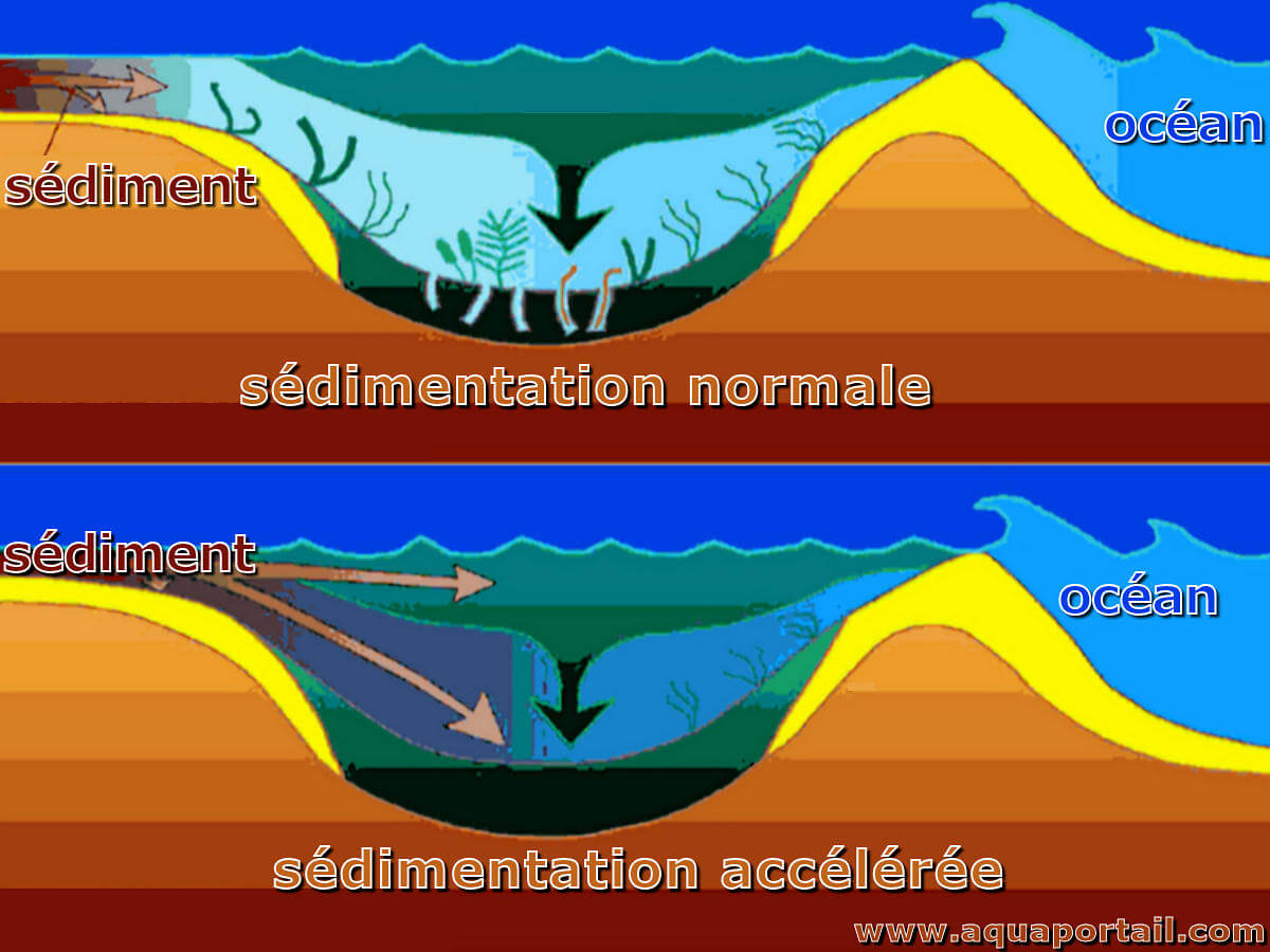 Problèmes de sédimentation dans les deltas