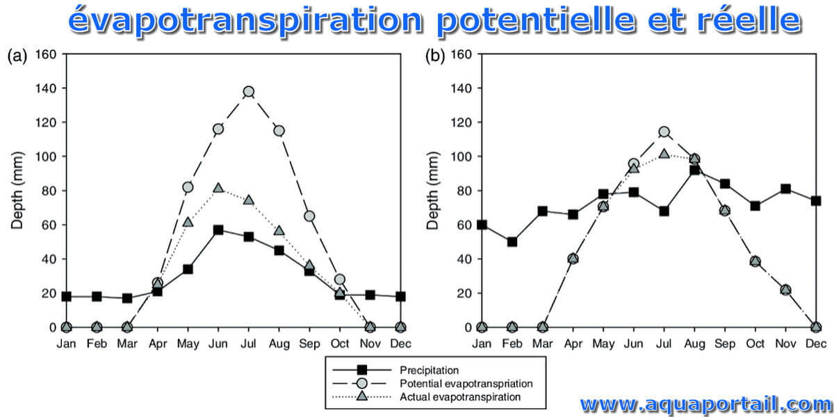Évapotranspiration potentielle : définition et explications