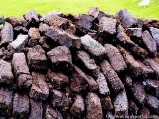 Briques de tourbe combustible