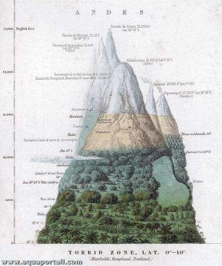 Zonation altitudinale selon Humboldt
