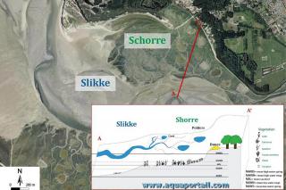 Distinction schorre et slikke