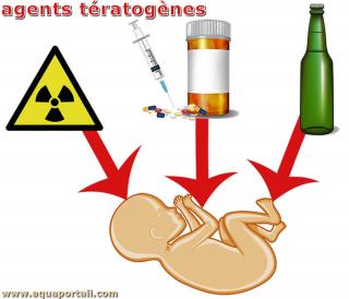 Agents tratognes