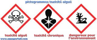 Toxicit aigu : pictogrammes