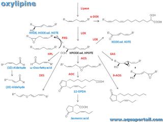oxylipine