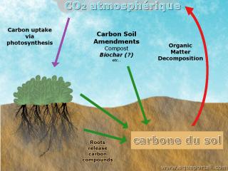 Squestration du dioxyde de carbone CO2 : schma