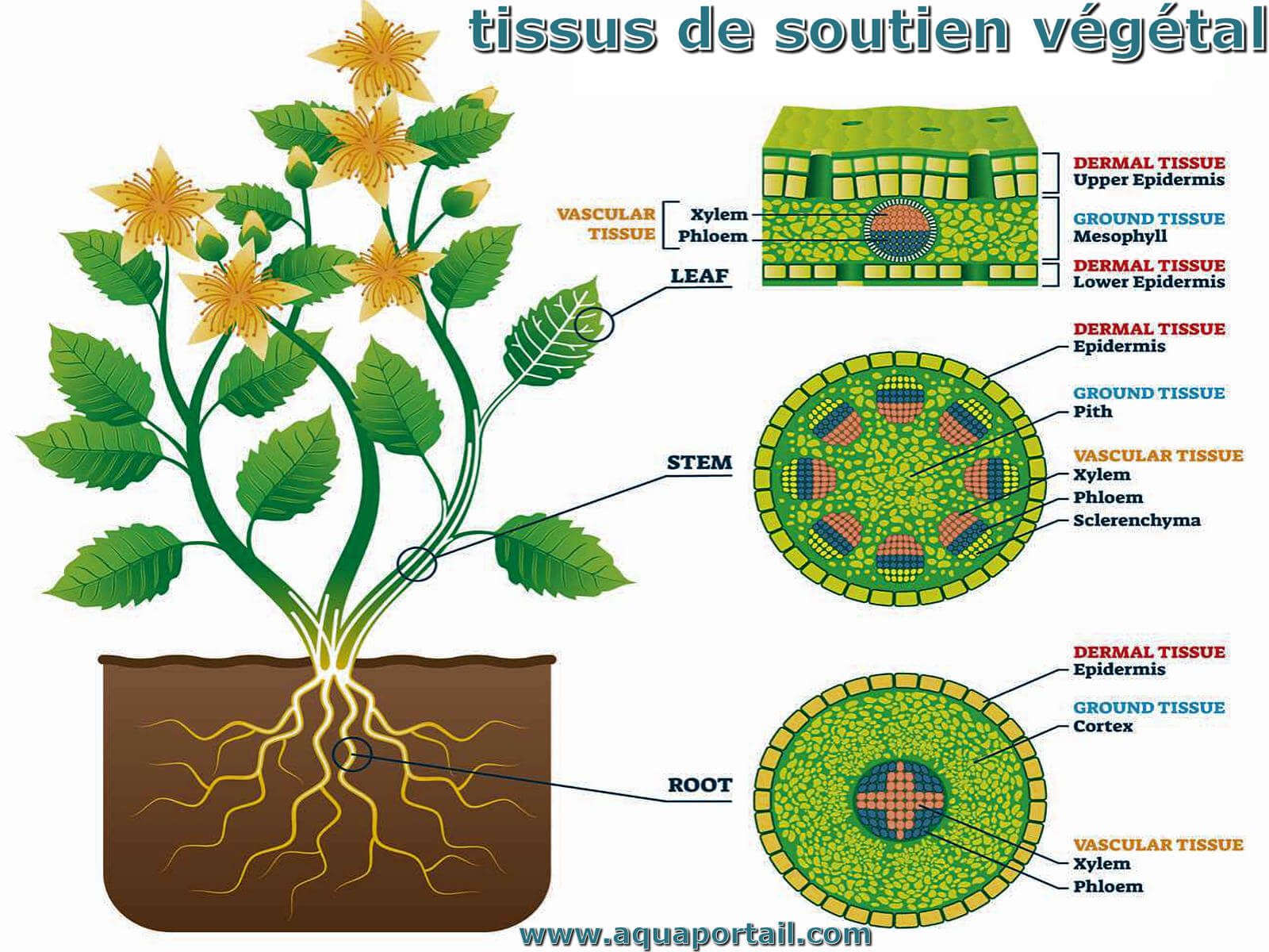 Structure du sol : définition et explications