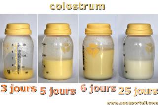 Schma de l'volution du colostrum vers le lait maternel (3 jours  25 jours)