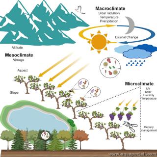 msoclimat