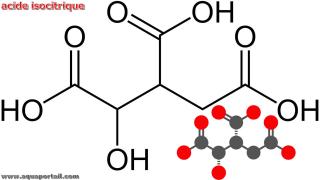 acide isocitrique