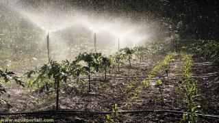 irrigation par aspersion