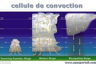 cellule de convection