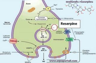 rserpine