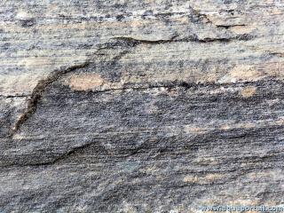 Schistosit d'un schiste