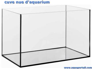 Cuve nue d'aquarium